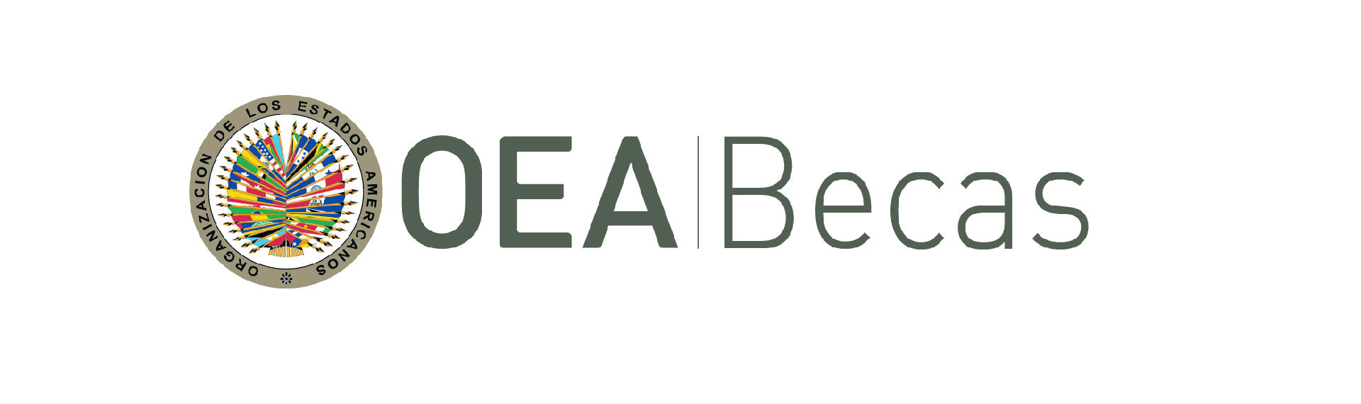 CONVOCATORIA ABIERTA A BECAS DE LA OEA - UNPAZ