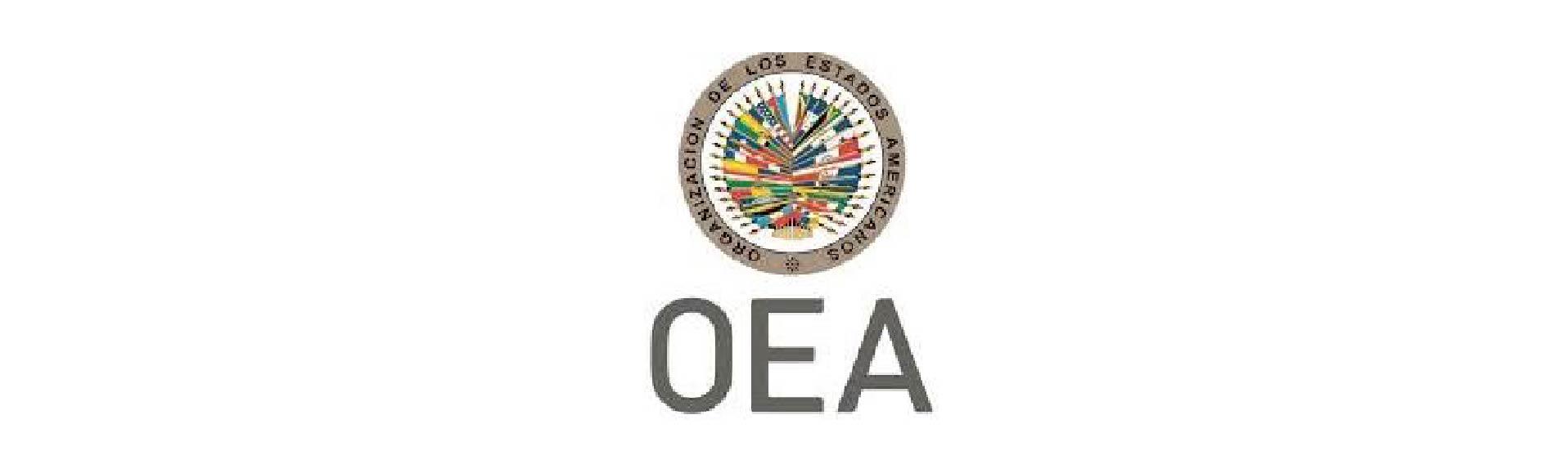 CONVOCATORIA A   La UNPAZ, desde la Dirección General de Relaciones Internacionales, informa la apertura de “Becas Académicas del Organización de los Estados Americanos (Programa ASP)” - UNPAZ